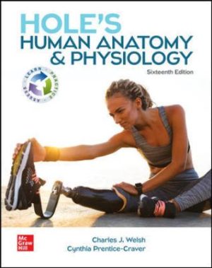 Solution Manual for Hole's Human Anatomy and Physiology 16/E Welsh