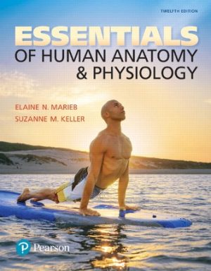 Test Bank for Essentials of Human Anatomy and Physiology 12/E Marieb
