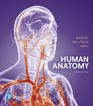 Test Bank for Human Anatomy 9/E Martini