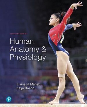 Test Bank for Human Anatomy and Physiology 11/E Marieb