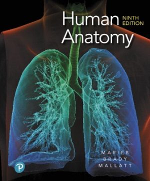 Test Bank for Human Anatomy 9/E Marieb