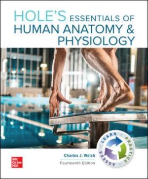 Test Bank for Hole's Essentials of Human Anatomy & Physiology 14/E Welsh