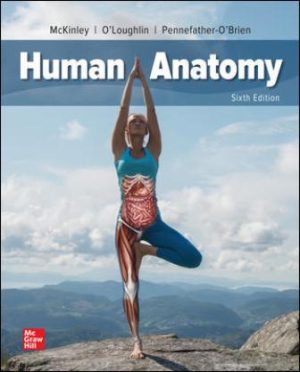 Test Bank for Human Anatomy 6/E McKinley